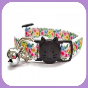 Kitten-128